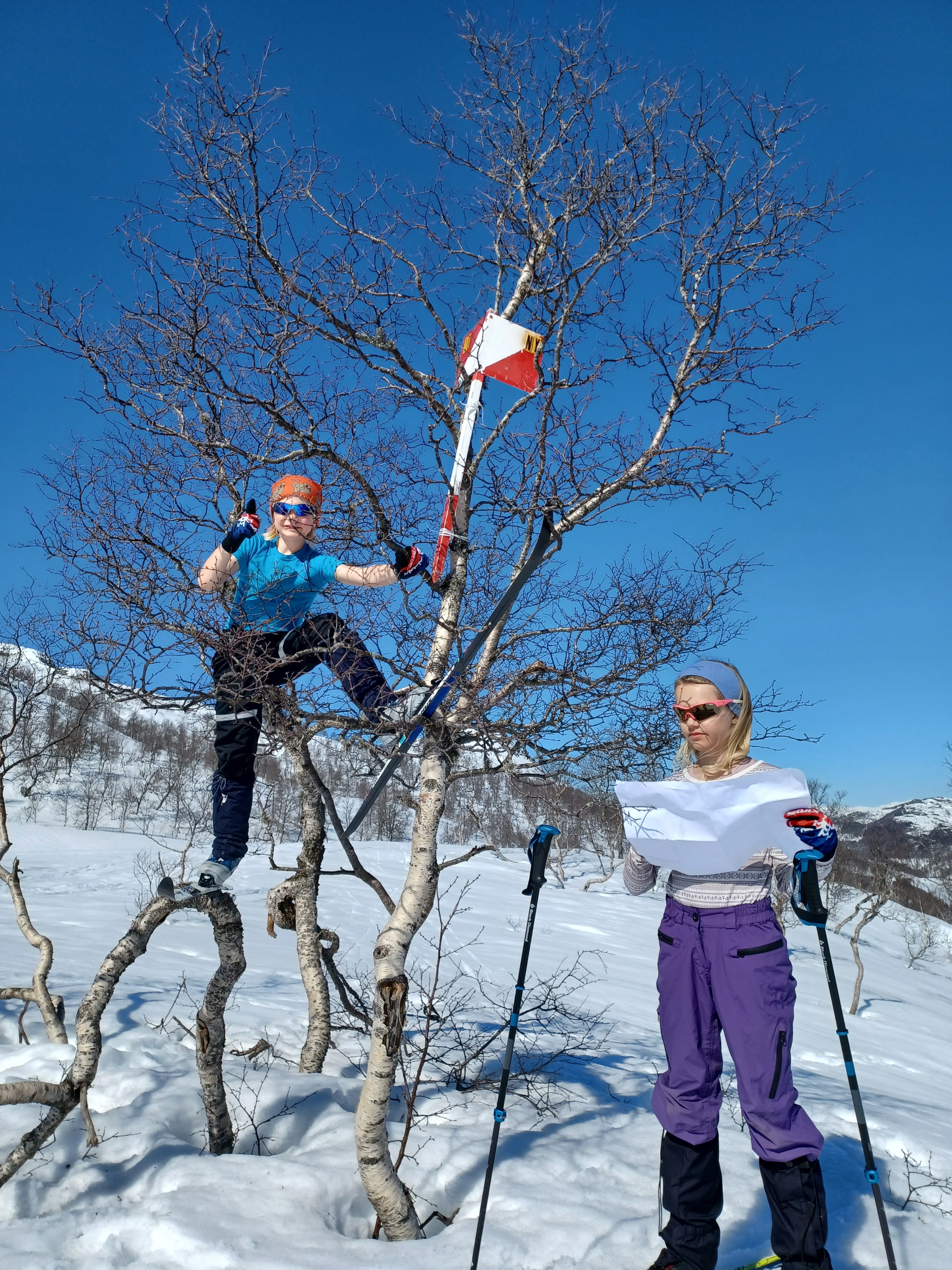 Tur-ski-orienteringa 2024 klar til vinterferien